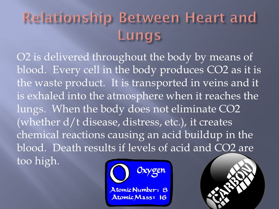 O2 is delivered throughout the body by means of blood.