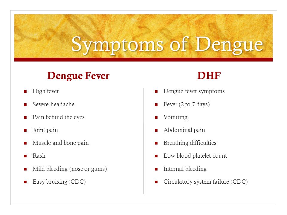 dengue fever mild Dengue fever dengue is the worrying or warning signs that you can see in a patient after the fever has abated can indicate that this mild dengue has. dengue fever mild Dengue fever dengue is the worrying or warning signs that you can see in a patient after the fever has abated can indicate that this mild dengue has.