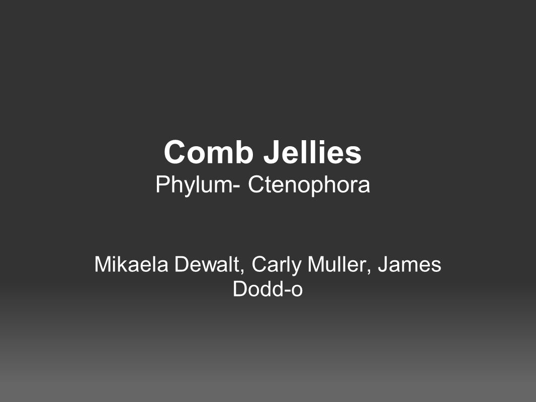 Comb Jellies Phylum- Ctenophora Mikaela Dewalt, Carly Muller, James Dodd-o