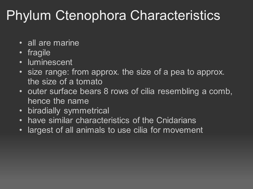 Phylum Ctenophora Characteristics all are marine fragile luminescent size range: from approx.