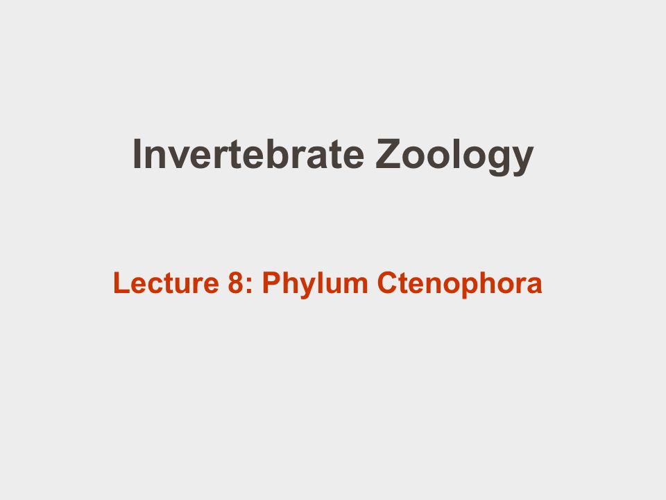 Invertebrate Zoology Lecture 8: Phylum Ctenophora