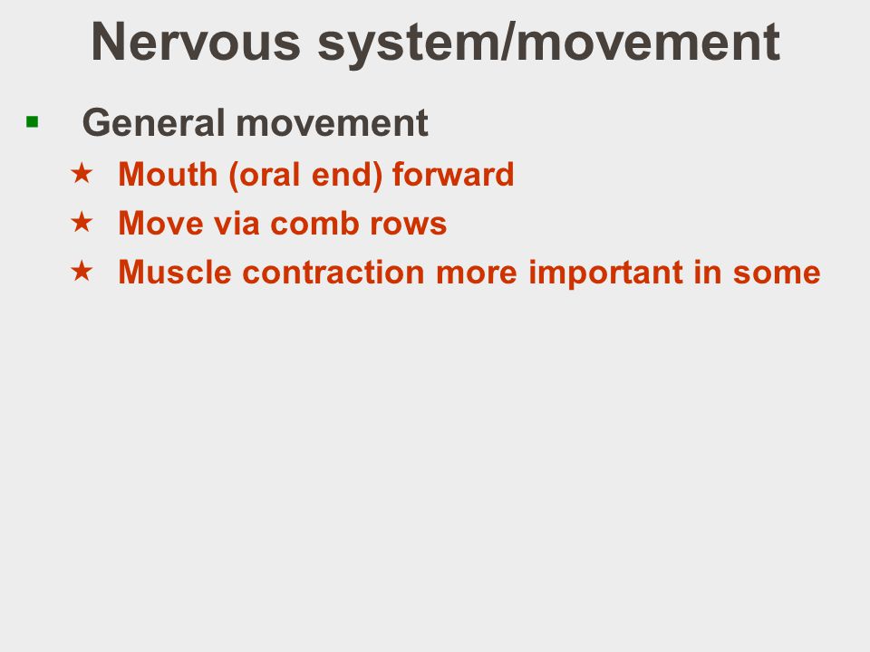 Nervous system/movement  General movement  Mouth (oral end) forward  Move via comb rows  Muscle contraction more important in some