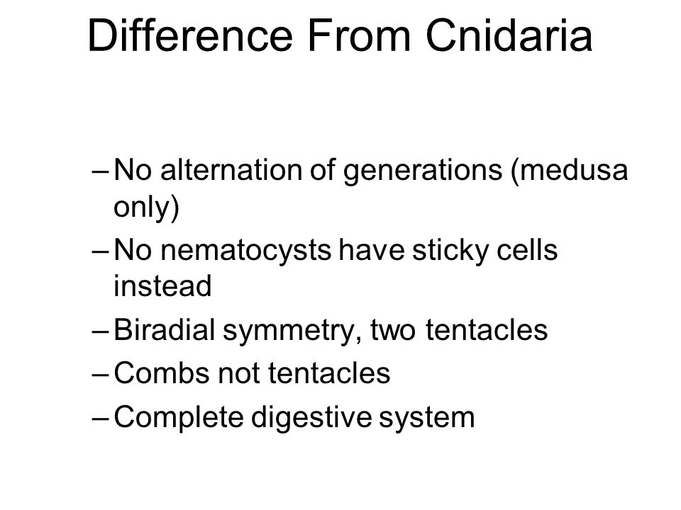 Difference From Cnidaria –No alternation of generations (medusa only) –No nematocysts have sticky cells instead –Biradial symmetry, two tentacles –Combs not tentacles –Complete digestive system