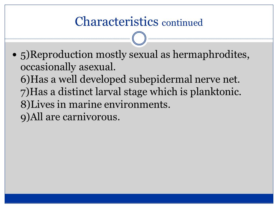 Characteristics continued 5)Reproduction mostly sexual as hermaphrodites, occasionally asexual.