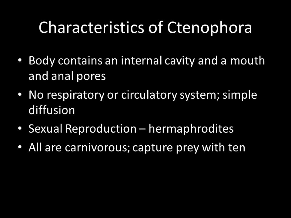 Characteristics of Ctenophora Body contains an internal cavity and a mouth and anal pores No respiratory or circulatory system; simple diffusion Sexual Reproduction – hermaphrodites All are carnivorous; capture prey with ten