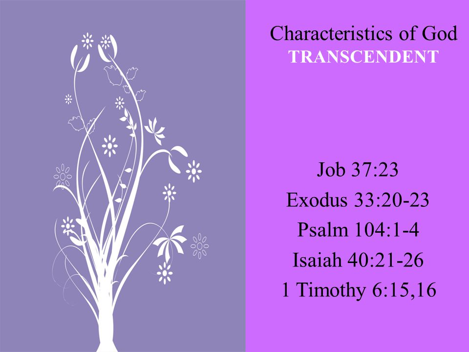 Characteristics of God TRANSCENDENT Job 37:23 Exodus 33:20-23 Psalm 104:1-4 Isaiah 40: Timothy 6:15,16
