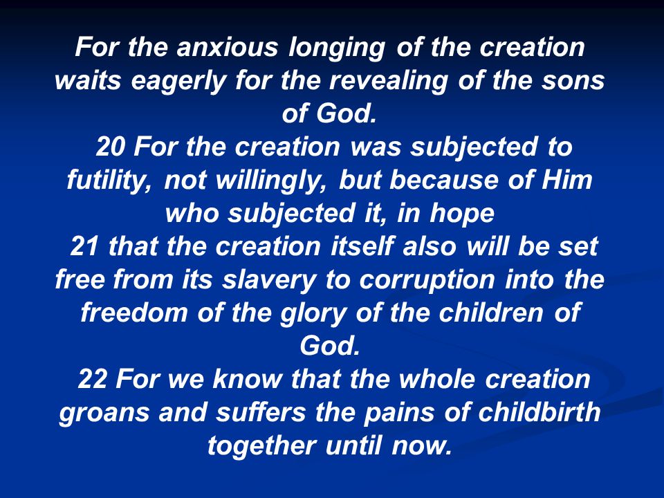 For the anxious longing of the creation waits eagerly for the revealing of the sons of God.