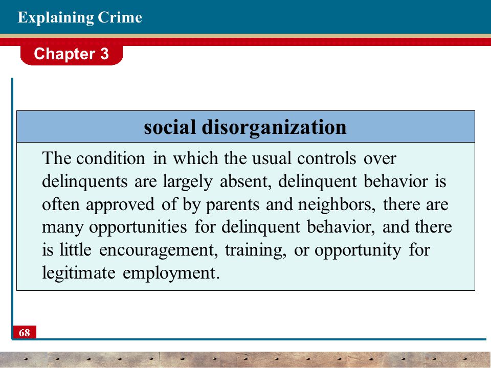 social disorganization theory essay social disorganization theory essay