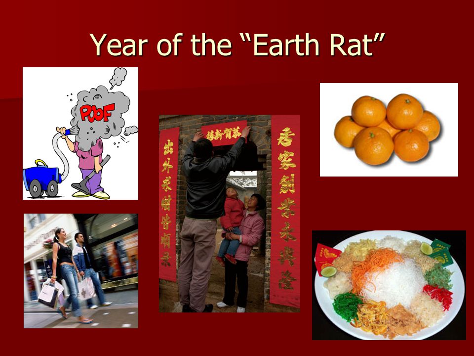 Year of the Earth Rat
