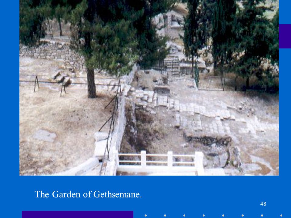 48 The Garden of Gethsemane.