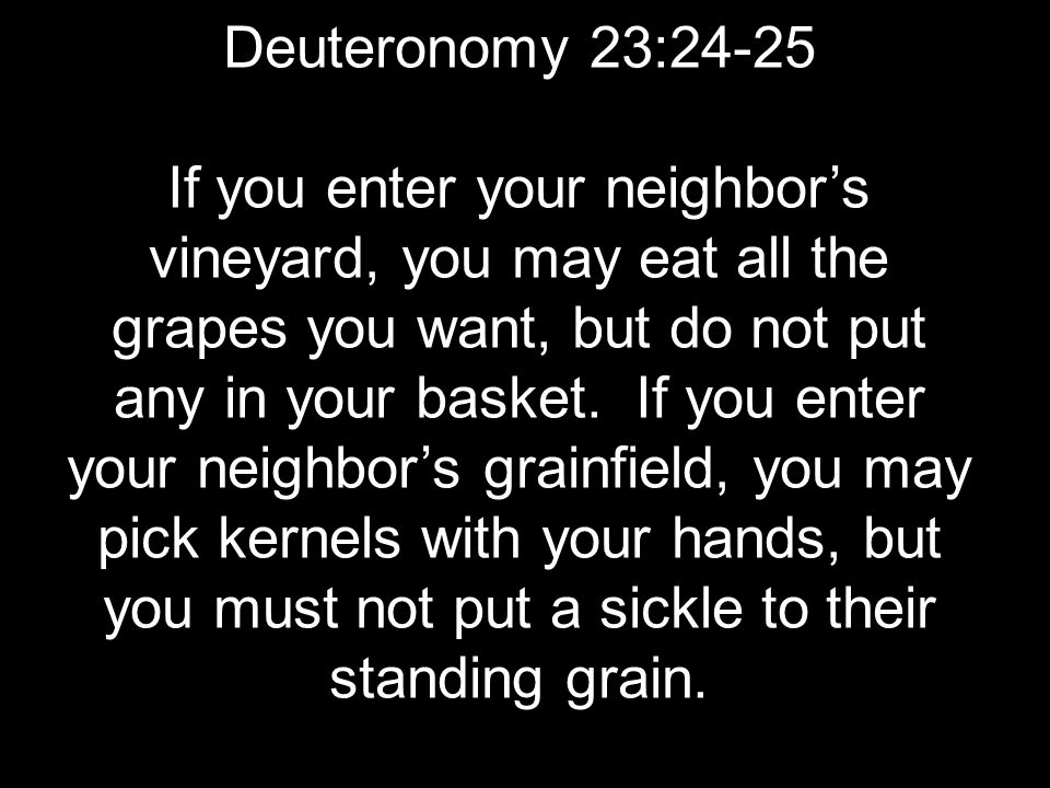 Deuteronomy 23:24-25 If you enter your neighbor’s vineyard, you may eat all the grapes you want, but do not put any in your basket.