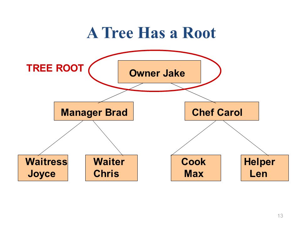 13 Owner Jake Manager Brad Chef Carol WaitressWaiter Cook Helper Joyce Chris Max Len A Tree Has a Root TREE ROOT