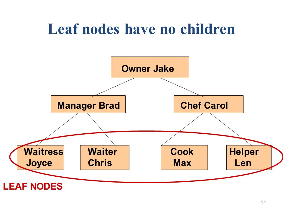 14 Owner Jake Manager Brad Chef Carol WaitressWaiter Cook Helper Joyce Chris Max Len Leaf nodes have no children LEAF NODES