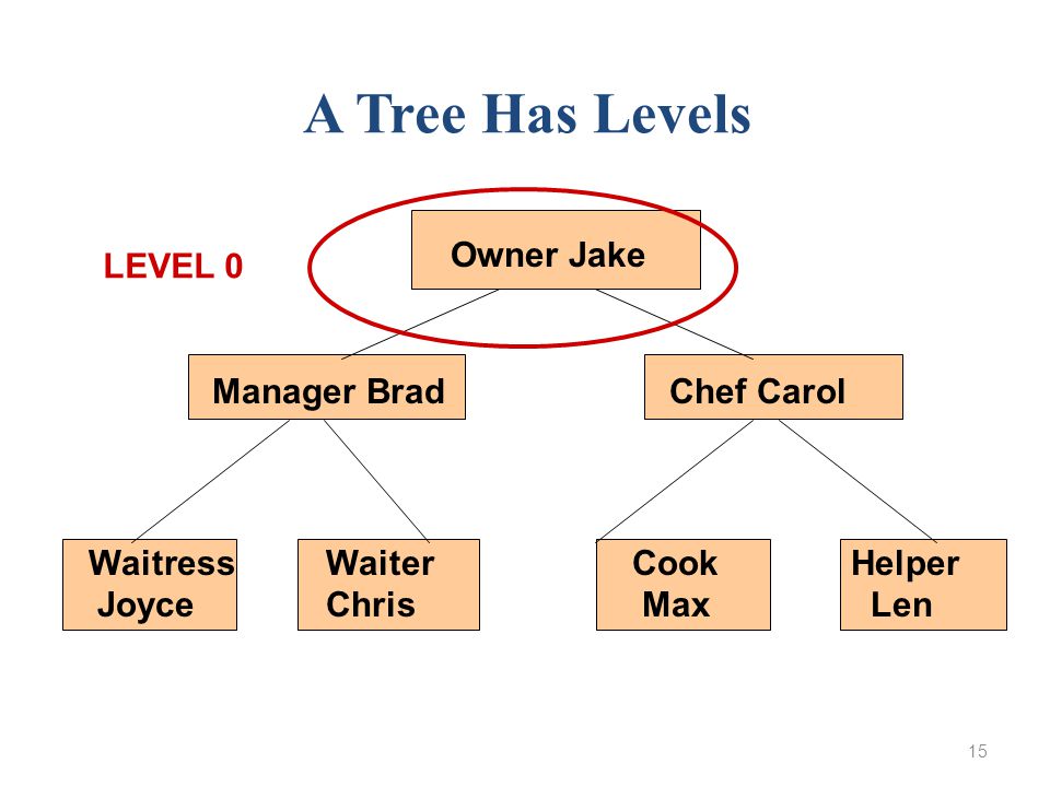15 Owner Jake Manager Brad Chef Carol WaitressWaiter Cook Helper Joyce Chris Max Len A Tree Has Levels LEVEL 0