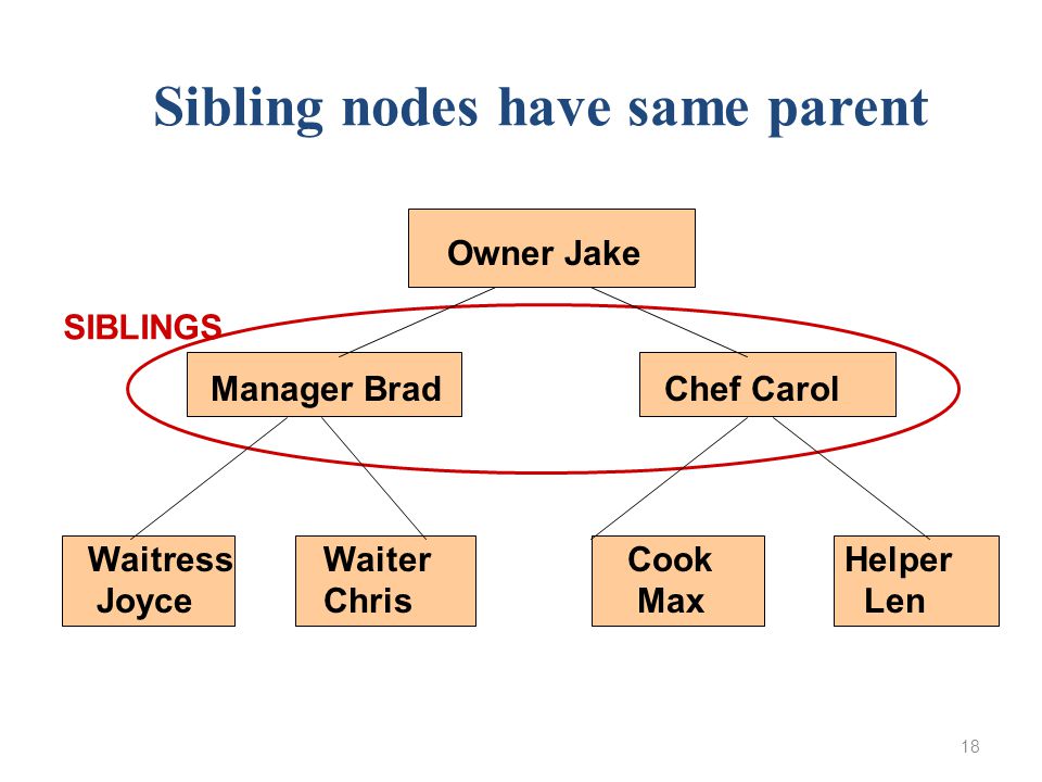18 SIBLINGS Sibling nodes have same parent Owner Jake Manager Brad Chef Carol WaitressWaiter Cook Helper Joyce Chris Max Len