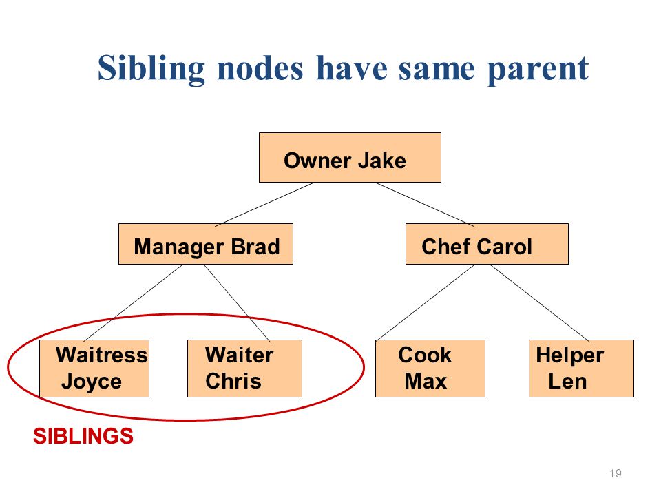 19 SIBLINGS Owner Jake Manager Brad Chef Carol WaitressWaiter Cook Helper Joyce Chris Max Len Sibling nodes have same parent