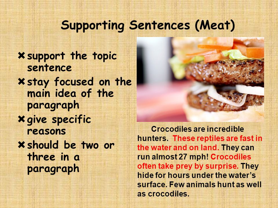 The Topic Sentence (Top Bun)  the very first sentence of your paragraph  states the main idea and explains what your paragraph is going to be about  doesn’t get into specific reasons and details yet  always needs to be indented Crocodiles are incredible hunters.