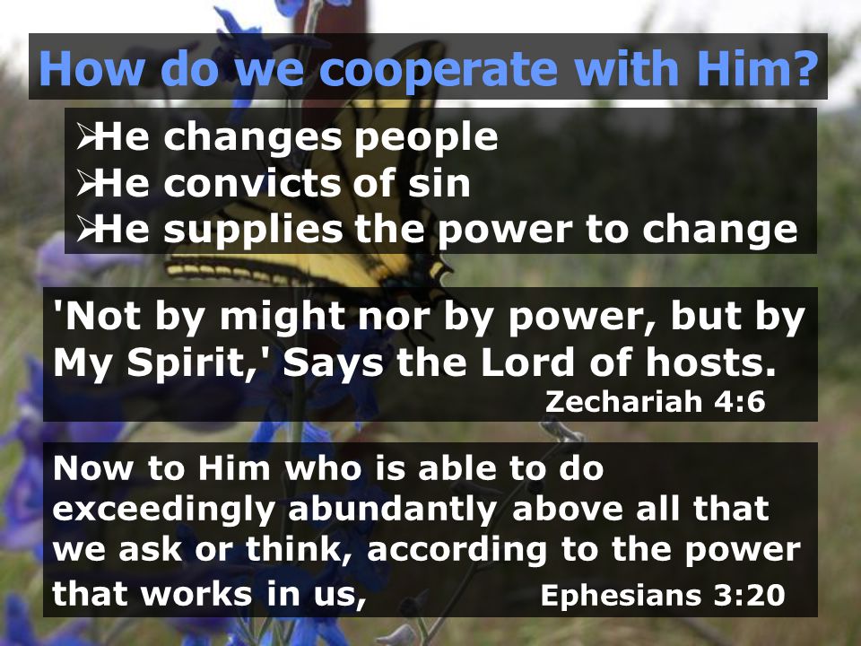  He changes people  He convicts of sin  He supplies the power to change How do we cooperate with Him.
