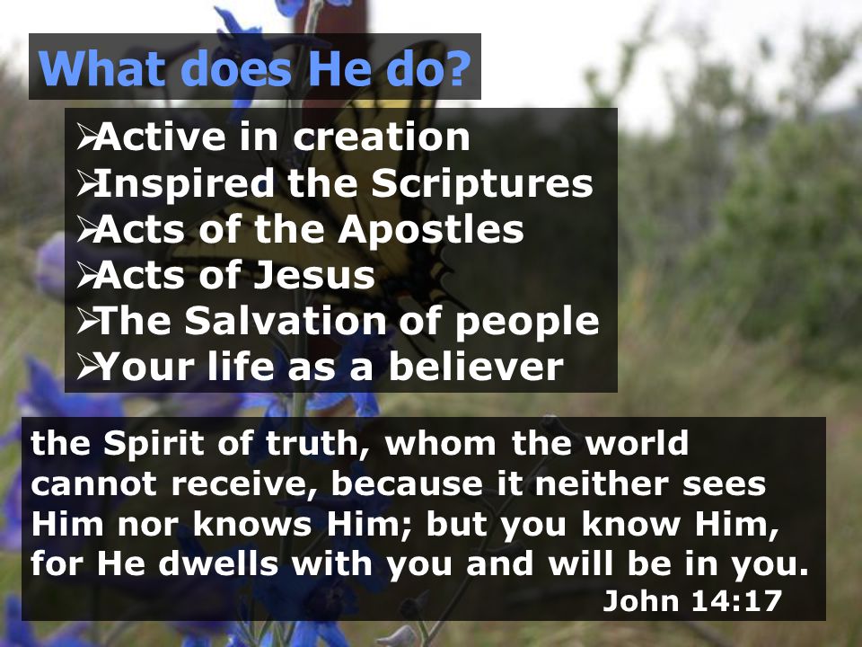  Active in creation  Inspired the Scriptures  Acts of the Apostles  Acts of Jesus  The Salvation of people  Your life as a believer What does He do.