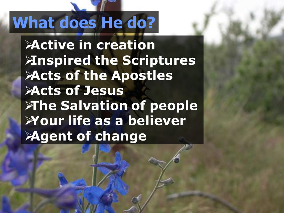  Active in creation  Inspired the Scriptures  Acts of the Apostles  Acts of Jesus  The Salvation of people  Your life as a believer  Agent of change What does He do