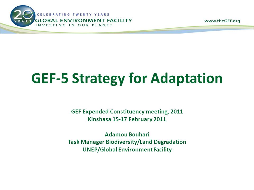 GEF-5 Strategy for Adaptation GEF Expended Constituency meeting, 2011 Kinshasa February 2011 Adamou Bouhari Task Manager Biodiversity/Land Degradation UNEP/Global Environment Facility