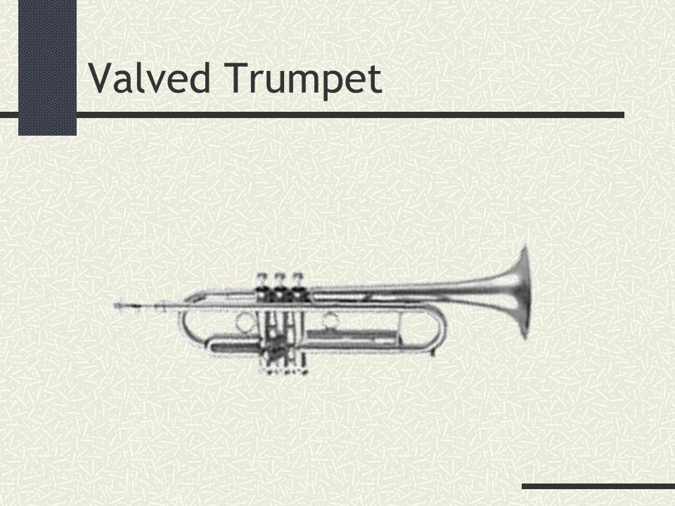 Valved Trumpet