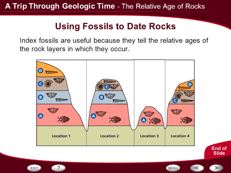 Wild and dirty sex How do paleontologists use relative dating