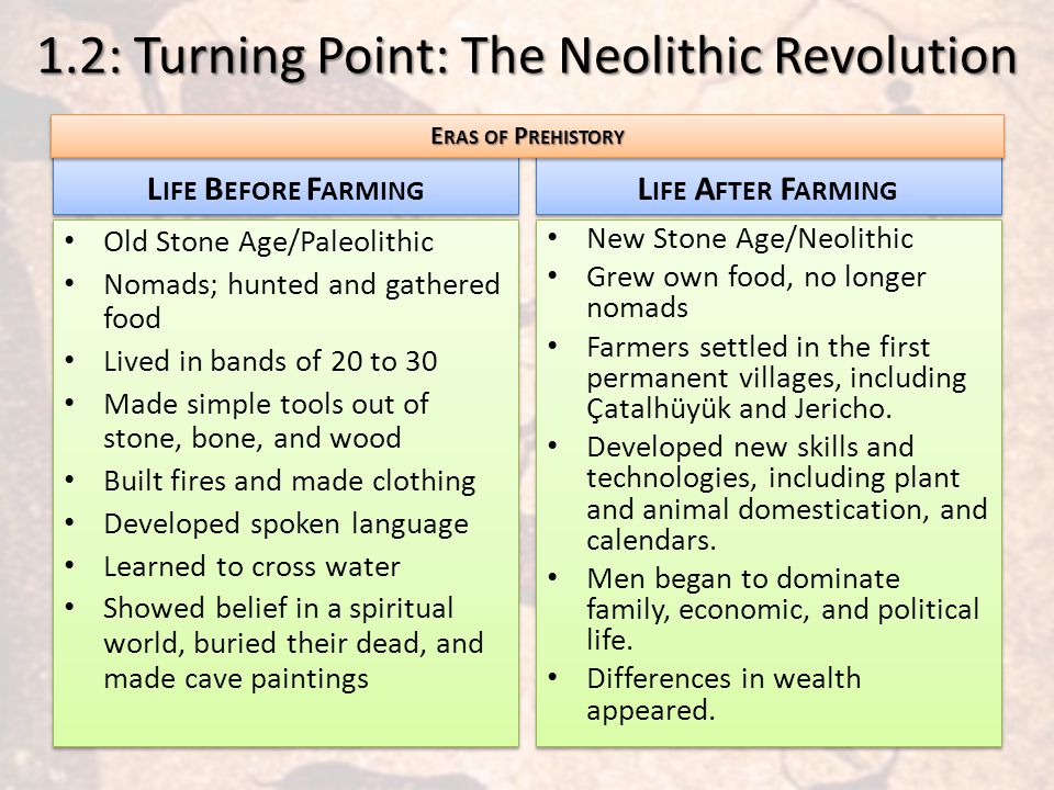 essay on neolithic revolution