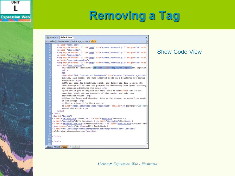Removing a Tag Microsoft Expression Web - Illustrated Show Code View