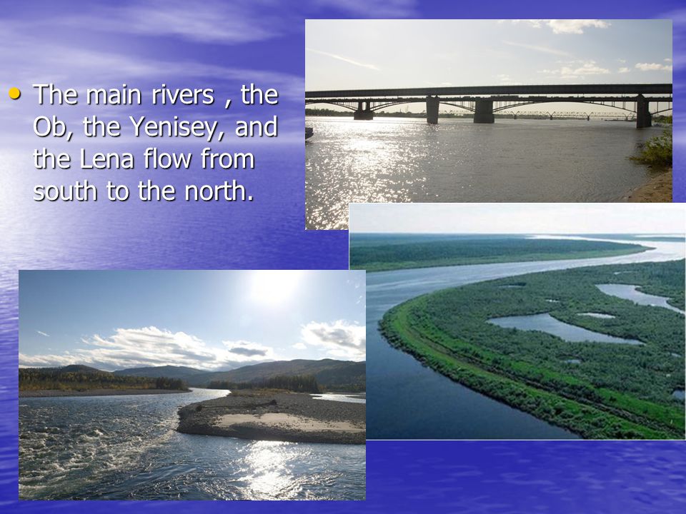 The main rivers, the Ob, the Yenisey, and the Lena flow from south to the north.