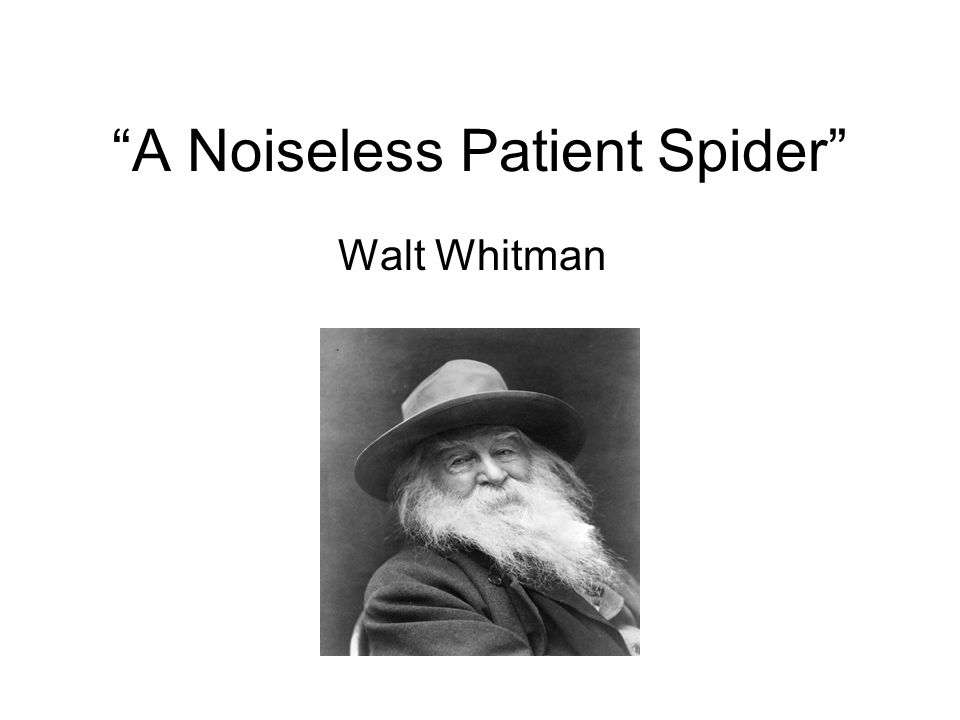 A Noiseless Patient Spider Walt Whitman