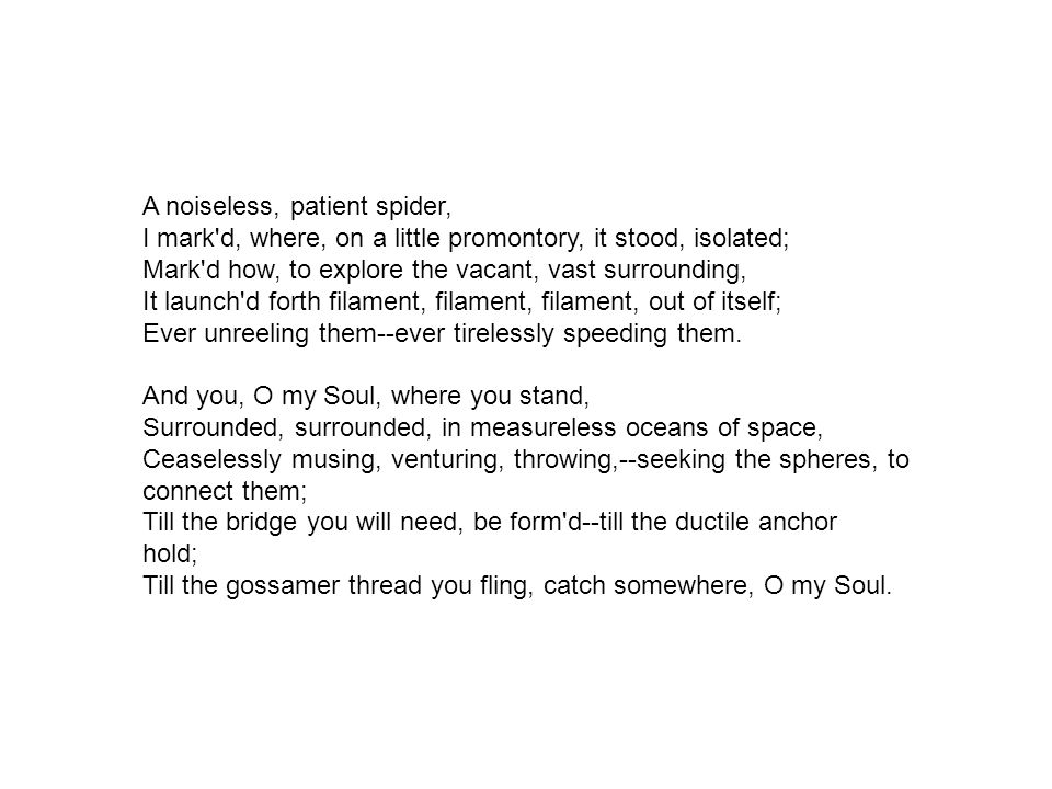 A noiseless, patient spider, I mark d, where, on a little promontory, it stood, isolated; Mark d how, to explore the vacant, vast surrounding, It launch d forth filament, filament, filament, out of itself; Ever unreeling them--ever tirelessly speeding them.