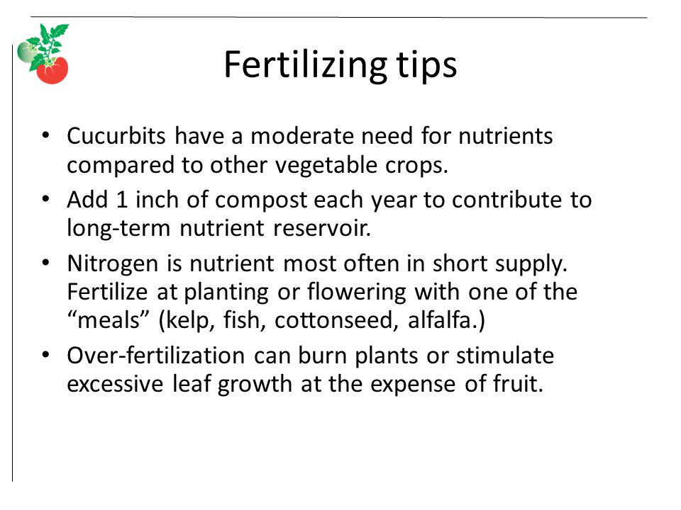 Fertilizing tips Cucurbits have a moderate need for nutrients compared to other vegetable crops.