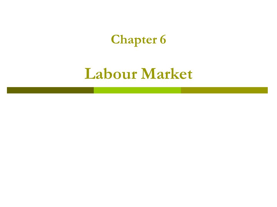 Chapter 6 Labour Market