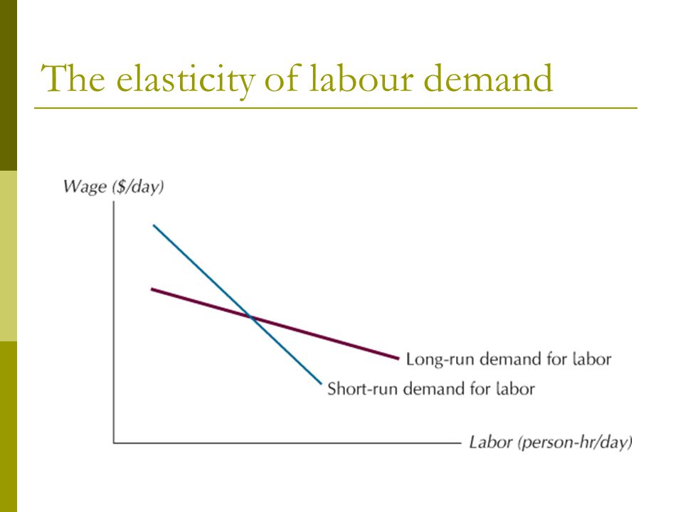 The elasticity of labour demand
