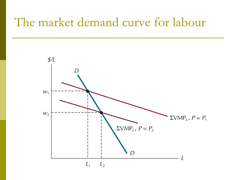 The market demand curve for labour