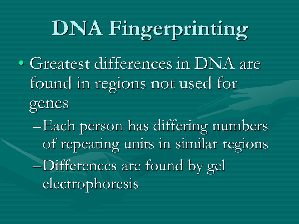 DNA Fingerprinting Greatest differences in DNA are found in regions not used for genesGreatest differences in DNA are found in regions not used for genes –Each person has differing numbers of repeating units in similar regions –Differences are found by gel electrophoresis