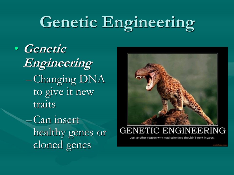Genetic Engineering Genetic EngineeringGenetic Engineering –Changing DNA to give it new traits –Can insert healthy genes or cloned genes