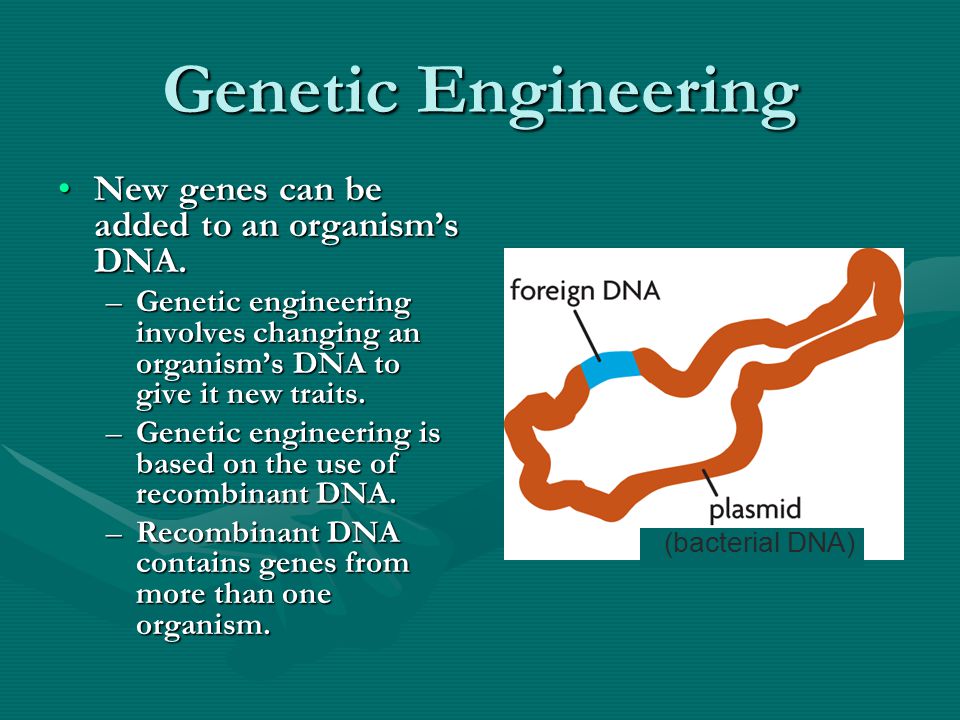 Genetic Engineering New genes can be added to an organism’s DNA.New genes can be added to an organism’s DNA.