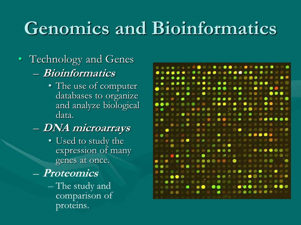 Genomics and Bioinformatics Technology and GenesTechnology and Genes –Bioinformatics The use of computer databases to organize and analyze biological data.The use of computer databases to organize and analyze biological data.
