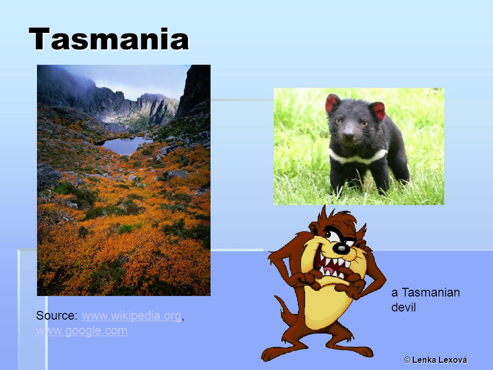© Lenka Lexová Tasmania a Tasmanian devil Source: