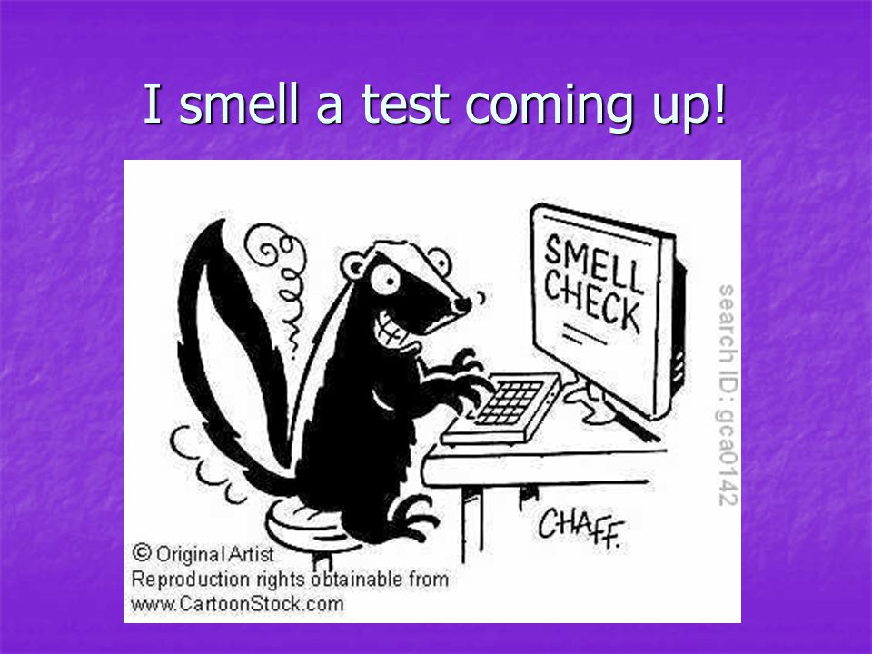 I smell a test coming up!