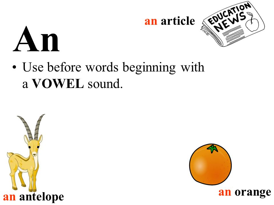 A Use before words beginning with a consonant sound. Use with singular nouns. a cat a key a book