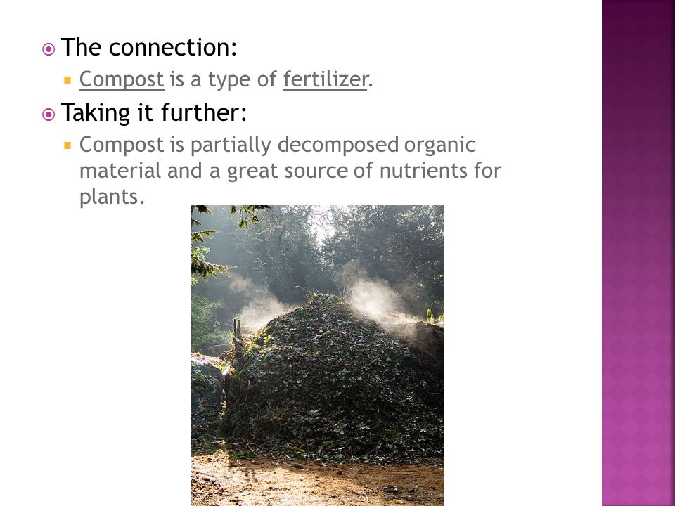  The connection:  Compost is a type of fertilizer.