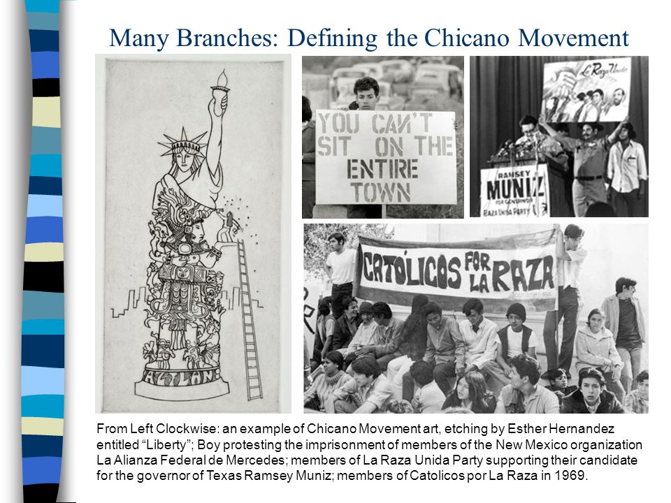 chicano study essays chicano study essays
