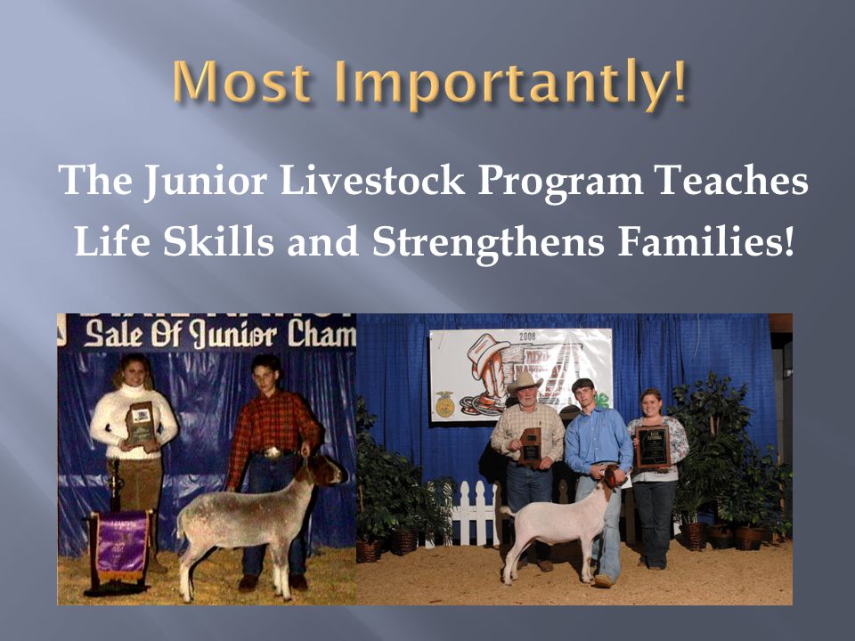 The Junior Livestock Program Teaches Life Skills and Strengthens Families!