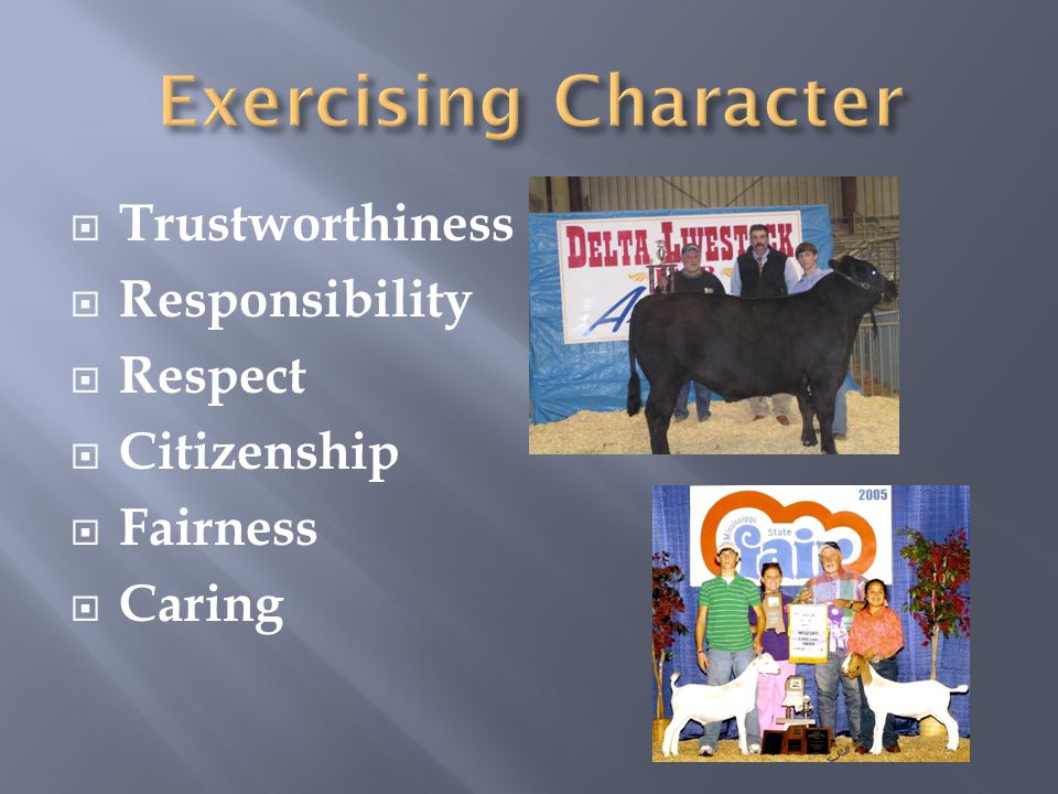  Trustworthiness  Responsibility  Respect  Citizenship  Fairness  Caring