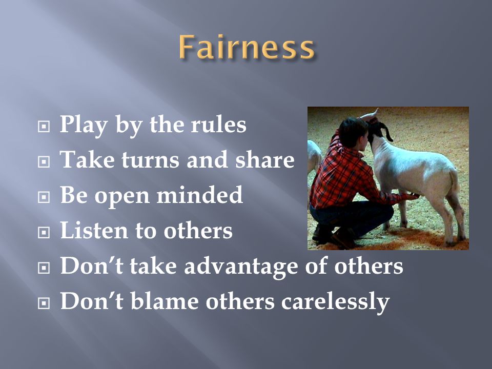  Play by the rules  Take turns and share  Be open minded  Listen to others  Don’t take advantage of others  Don’t blame others carelessly