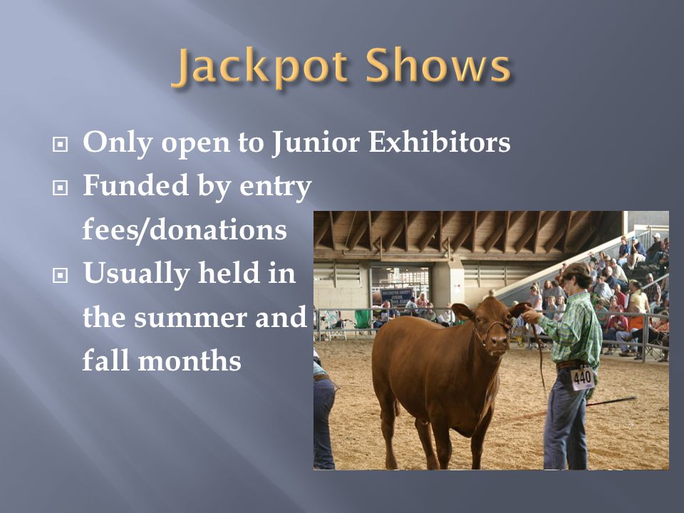 Only open to Junior Exhibitors  Funded by entry fees/donations  Usually held in the summer and fall months