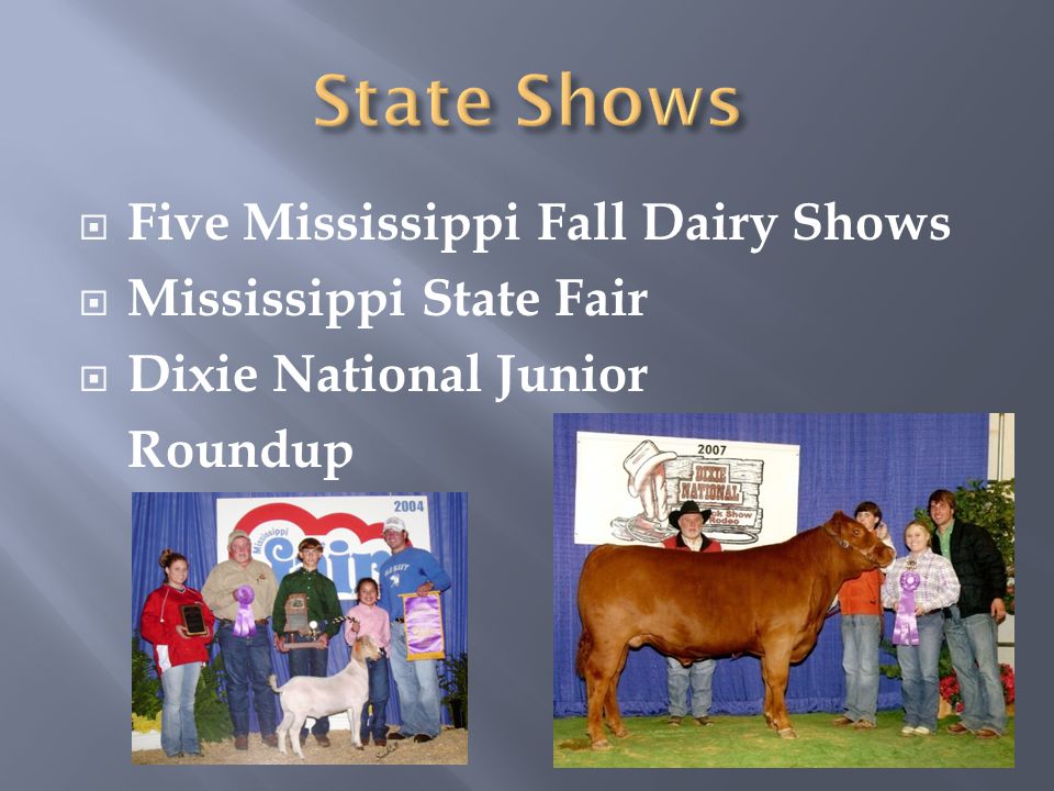  Five Mississippi Fall Dairy Shows  Mississippi State Fair  Dixie National Junior Roundup